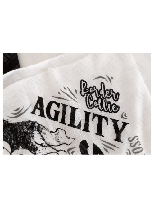 Border collie fehér csősál