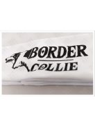 Border collie fehér fejpánt